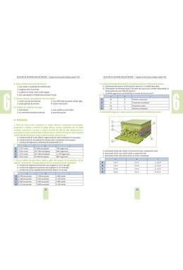 Copertă produs Rezolvăm, ne antrenăm, biologie &icirc;nvățăm! - Culegere de teste pentru biologie clasele V-VIII