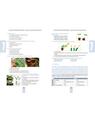 Copertă produs Rezolvăm, ne antrenăm, biologie &icirc;nvățăm! - Culegere de teste pentru biologie clasele V-VIII - thumb 8