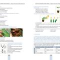 Copertă produs Rezolvăm, ne antrenăm, biologie &icirc;nvățăm! - Culegere de teste pentru biologie clasele V-VIII - gallery small 