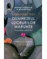 Copertă produs Dumnezeul lucrurilor mărunte - thumb 1
