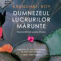 Copertă produs Dumnezeul lucrurilor mărunte - gallery small 