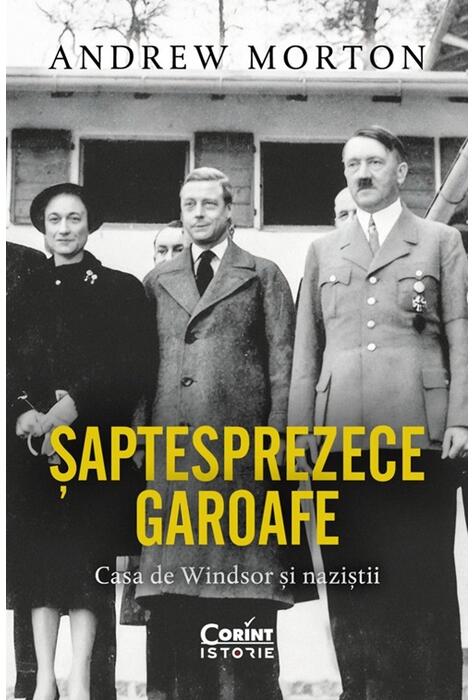 Copertă produs Șaptesprezece garoafe