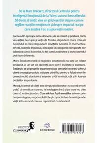 Copertă produs Cum să faci față emoțiilor