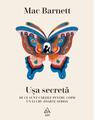 Copertă produs Ușa secretă - thumb 1