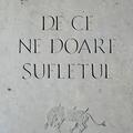 Copertă produs De ce ne doare sufletul - gallery small 