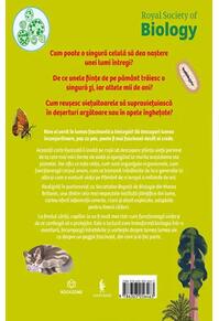 Copertă produs Aventura cunoașterii. Biologia pe placul copiilor (Vol. 4)