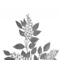 Copertă produs Trei - gallery small 