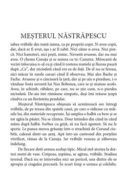 Copertă produs Harțe, junghiuri și sminteli