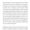 Copertă produs Bomboane acrișoare - gallery small 