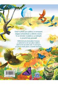 Copertă produs Pas cu pas prin pădure