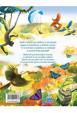 Copertă produs Pas cu pas prin pădure