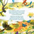 Copertă produs Pas cu pas prin pădure - gallery small 