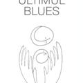 Copertă produs Ultimul Blues - gallery small 