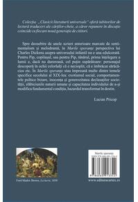 Copertă produs Marile speranțe