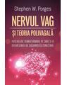 Copertă produs Nervul Vag și Teoria Polivagală - thumb 1