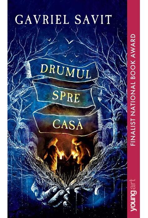 Copertă produs Drumul spre casă