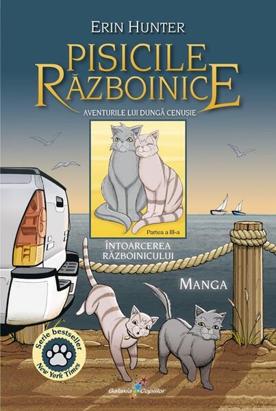 Aceasta este imaginea corespunzatoare acestui obiect