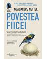 Copertă produs Povestea fiicei - thumb 1