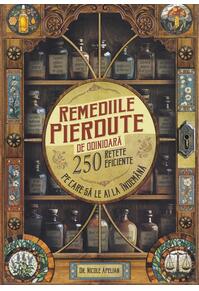 Copertă produs Remediile pierdute de odinioară