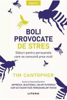 Boli provocate de stres. Sfaturi pentru persoanele care se consumă prea mult