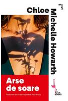 Arse de soare