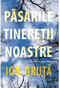 Copertă produs Păsările tinereții noastre