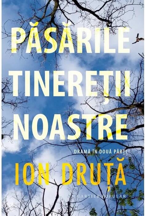 Copertă produs Păsările tinereții noastre