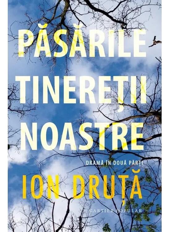 Copertă produs Păsările tinereții noastre - gallery big 1