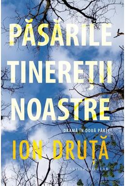 Copertă produs Păsările tinereții noastre