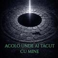 Copertă produs Acolo unde ai tăcut cu mine - gallery small 