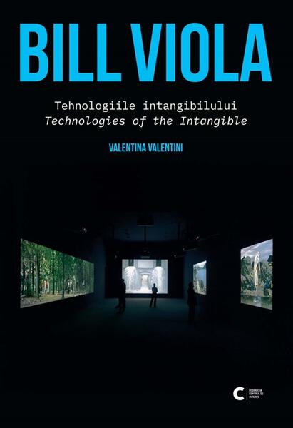 Bill Viola - Tehnologiile intangibilului. Tehnologies of the Intangible - Paperback brosat - Valentina Valentini - Idea Design