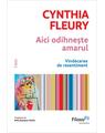Copertă produs Aici odihnește amarul - thumb 1