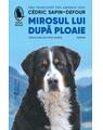 Copertă produs Mirosul lui după ploaie - thumb 1