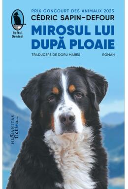 Copertă produs Mirosul lui după ploaie