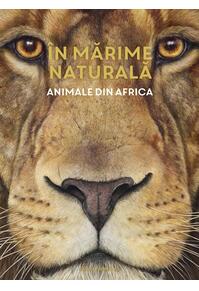 Copertă produs &Icirc;n mărime naturală. Animale din Africa