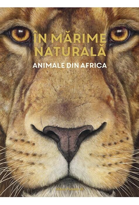 Copertă produs &Icirc;n mărime naturală. Animale din Africa