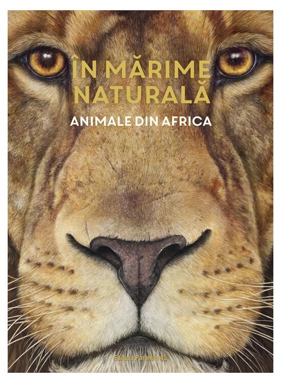 Copertă produs &Icirc;n mărime naturală. Animale din Africa - gallery big 1