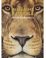 Copertă produs &Icirc;n mărime naturală. Animale din Africa - thumb 1
