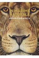 Imagine produs &Icirc;n mărime naturală. Animale din Africa