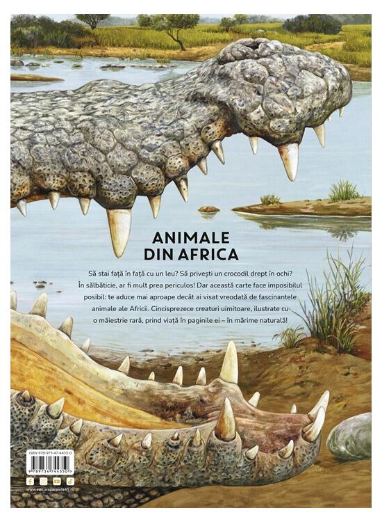 Copertă produs &Icirc;n mărime naturală. Animale din Africa - gallery big 2