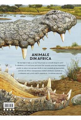 Copertă produs &Icirc;n mărime naturală. Animale din Africa