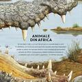 Copertă produs &Icirc;n mărime naturală. Animale din Africa - gallery small 