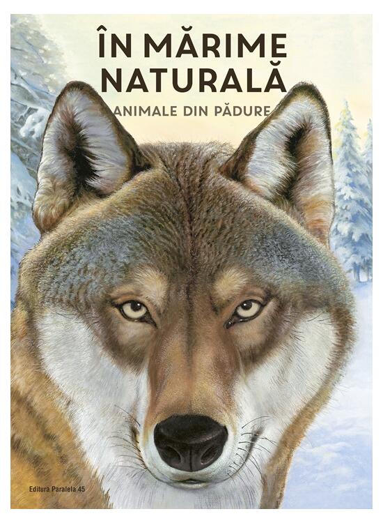 Copertă produs &Icirc;n mărime naturală. Animale din pădure - gallery big 1