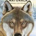 Copertă produs &Icirc;n mărime naturală. Animale din pădure - gallery small 