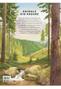 Copertă produs &Icirc;n mărime naturală. Animale din pădure