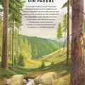 Copertă produs &Icirc;n mărime naturală. Animale din pădure - gallery small 