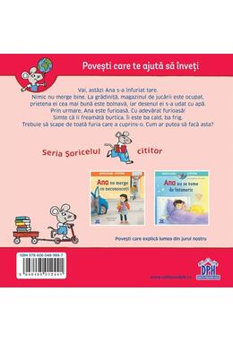 Copertă produs Ana este furioasă