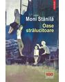Copertă produs Oase strălucitoare - thumb 1