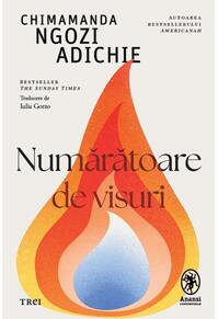 Copertă produs Numărătoare de visuri