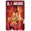 Copertă produs &Icirc;n flăcări (Vol. 13)